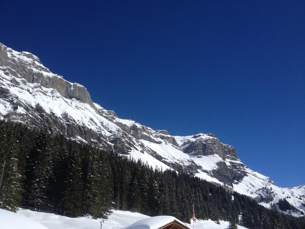 Appartment Chalet Sonnenheim Kandersteg Exteriör bild